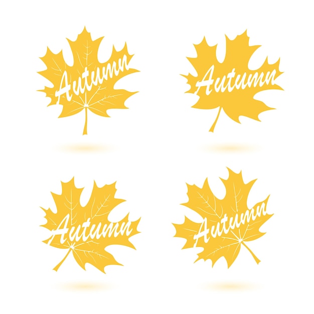 Conjunto de hojas de arce de otoño