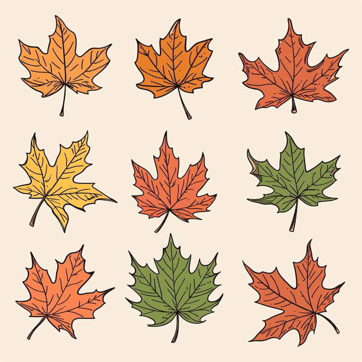Un conjunto de hojas de arce con la palabra otoño en ellas