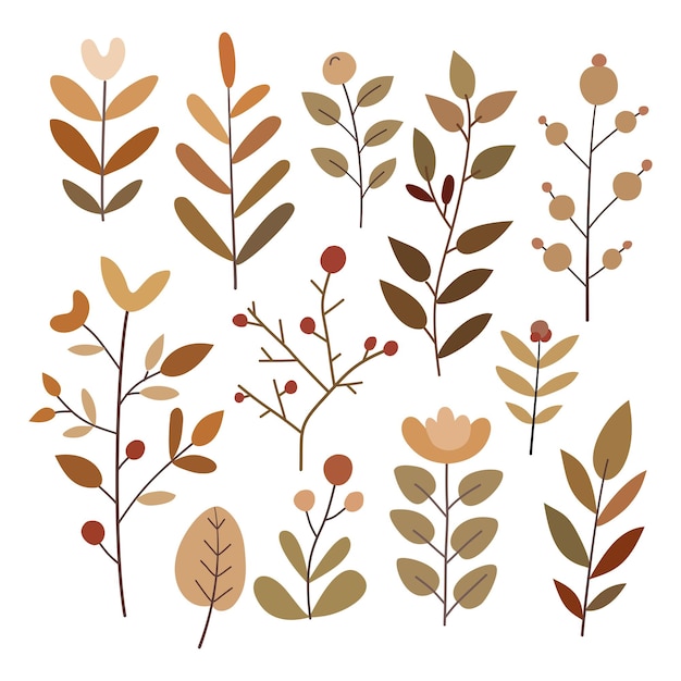 Conjunto de hojas, bayas y flores Ilustración linda Vector color marrón simple