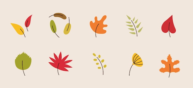 Conjunto de hojas brillantes de otoño. Estilo plano de dibujos animados simples. Colección de hojas doradas de otoño. Herbario