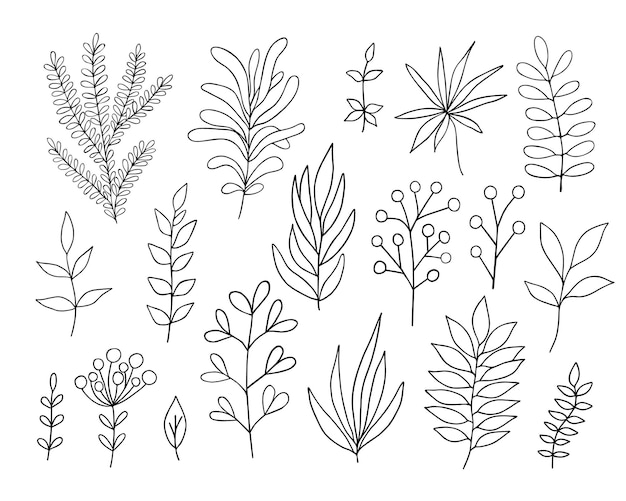 El conjunto de hojas con un contorno simple ilustración minimalista línea delgada elementos florales dibujados a mano para el diseño