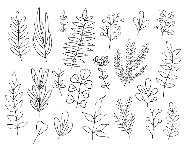 El conjunto de hojas con un contorno simple ilustración minimalista línea delgada elementos florales dibujados a mano para el diseño