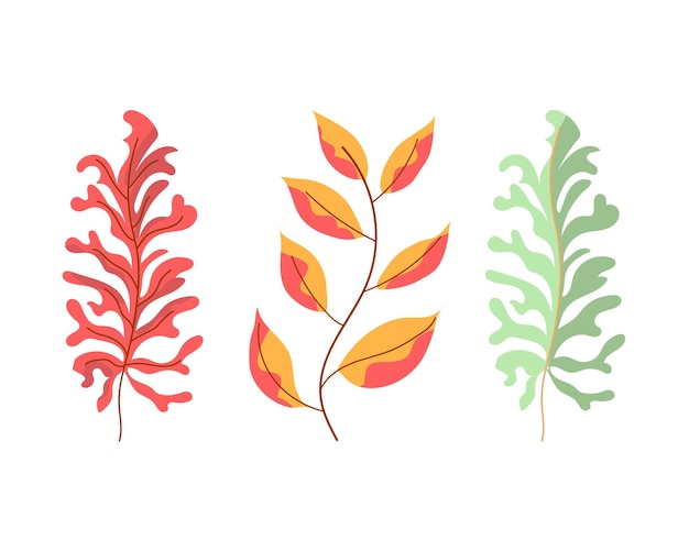 Conjunto de hojas dibujadas a mano Ilustración vectorial en estilo doodle