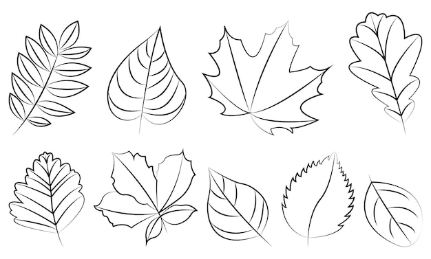Vector conjunto de hojas dibujadas a mano