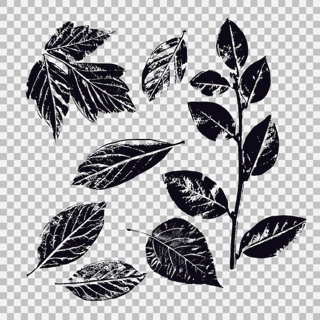 Conjunto de hojas de diferentes gráficos vectoriales de vegetación con objetos aislados