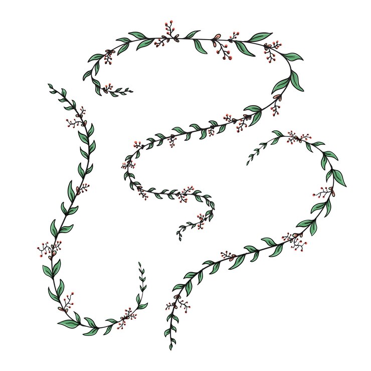 Conjunto de hojas elementos de adorno de ilustración de flores y hojas