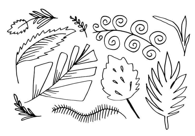 Vector conjunto de hojas elementos decorativos dibujados a mano ilustración vectorial