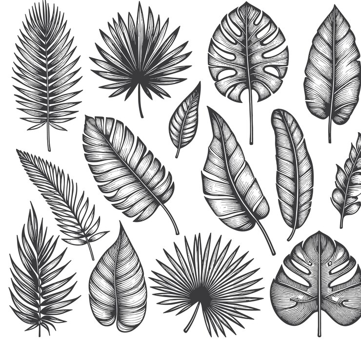 Vector conjunto de hojas y flores de plantas tropicales