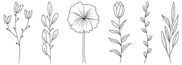 Conjunto de hojas y flores tropicales botánicas