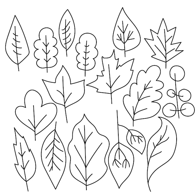 Conjunto de hojas garabateadas con diferentes árboles imagen simple de una hoja