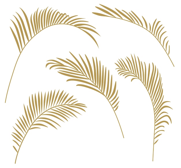 Conjunto de hojas de helecho decorativas aisladas sobre fondo blanco Ilustración de vector plano