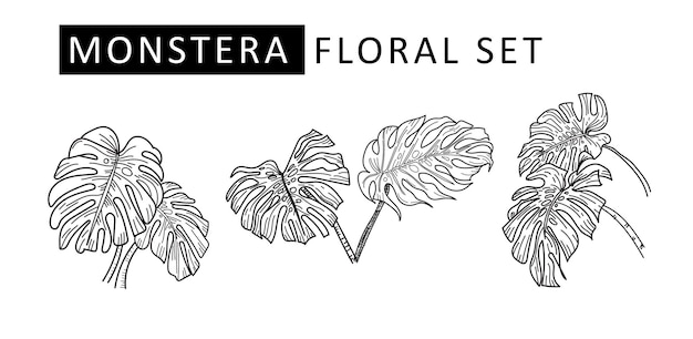 conjunto de hojas de monstera vector de verano