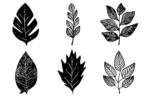 Conjunto de hojas negras de sello vectorial de corte lino e impresiones de ramas Elementos florales dibujados a mano