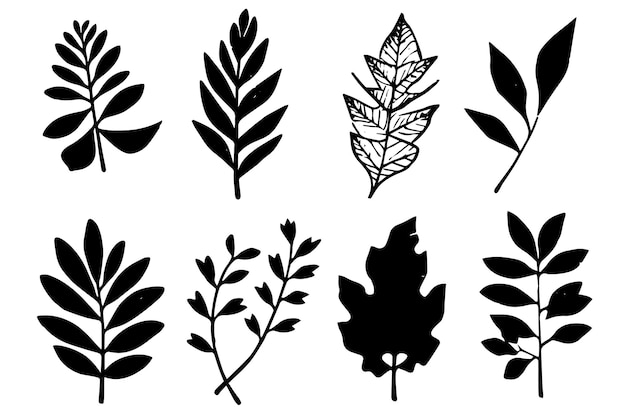 Conjunto de hojas negras de sello vectorial de corte lino e impresiones de ramas Elementos florales dibujados a mano