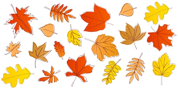 Conjunto de hojas de otoño brillantes Fondo para textiles o portadas de libros papel tapiz diseño gráfico impresión invitación de pasatiempo Vector