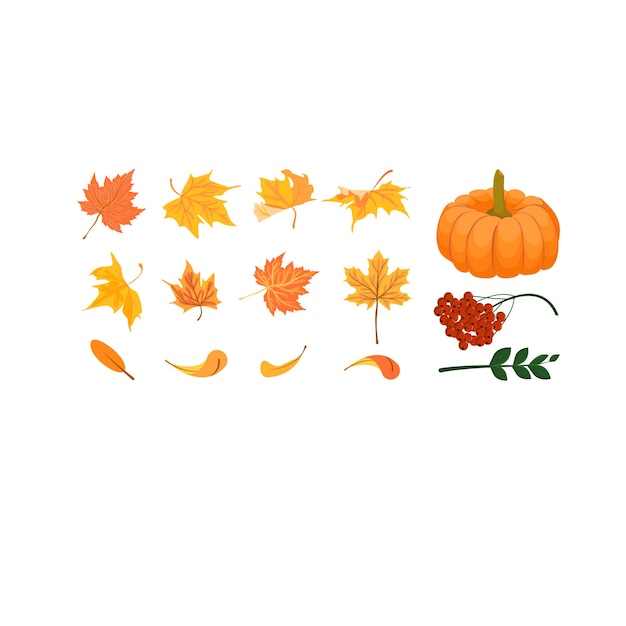 conjunto de hojas de otoño con calabaza
