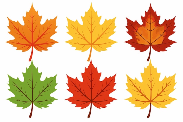 un conjunto de hojas de otoño con los colores del arce