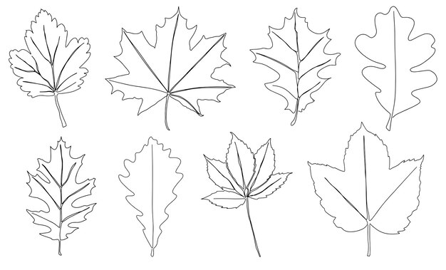 Un conjunto de hojas de otoño dibujadas con una línea continua Hoja de otoño en un icono de estilo de línea