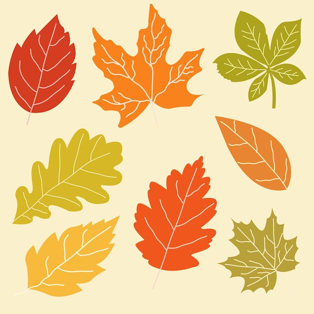 Conjunto de hojas de otoño dibujadas a mano