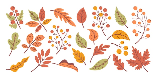 Conjunto de hojas de otoño dibujadas a mano