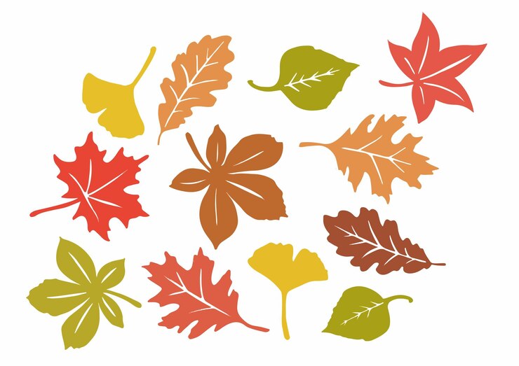 Conjunto de hojas de otoño de diferentes árboles Conjunto simple de hojas amarillas, rojas, naranjas y de otoño