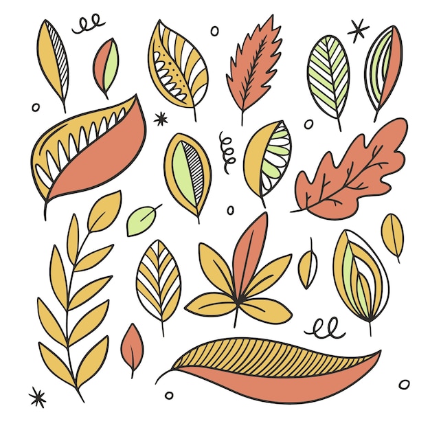 Vector conjunto de hojas de otoño estilo colorido de arte lineal boceto dibujado a mano doodle