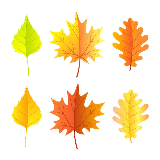 Conjunto de hojas de otoño. Estilo de dibujos animados brillante. Ilustración vectorial