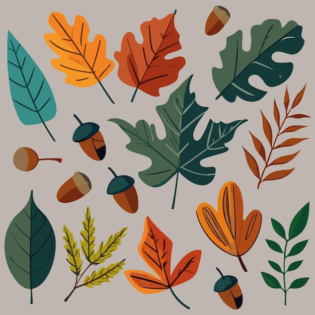 Conjunto de hojas de otoño ilustración de vector de dibujos animados plano simple