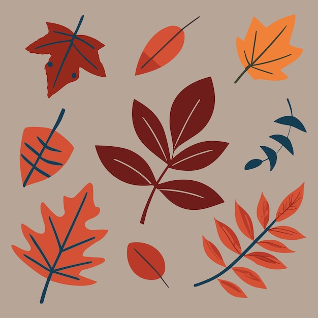 Conjunto de hojas de otoño ilustración de vector de dibujos animados plano simple