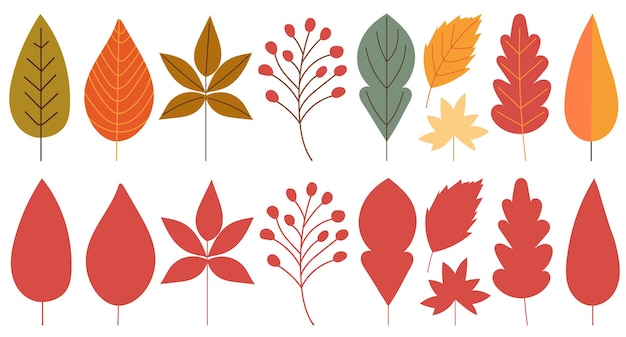 Conjunto de hojas de otoño en vector de estilo doodle