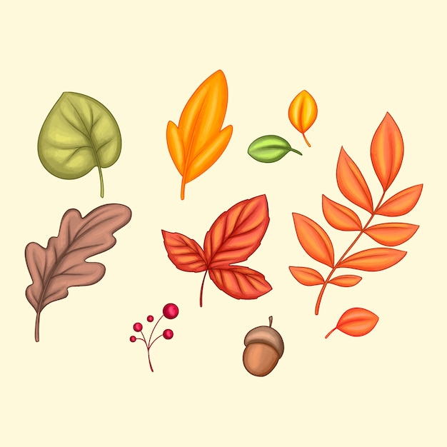 Vector conjunto de hojas de otoño