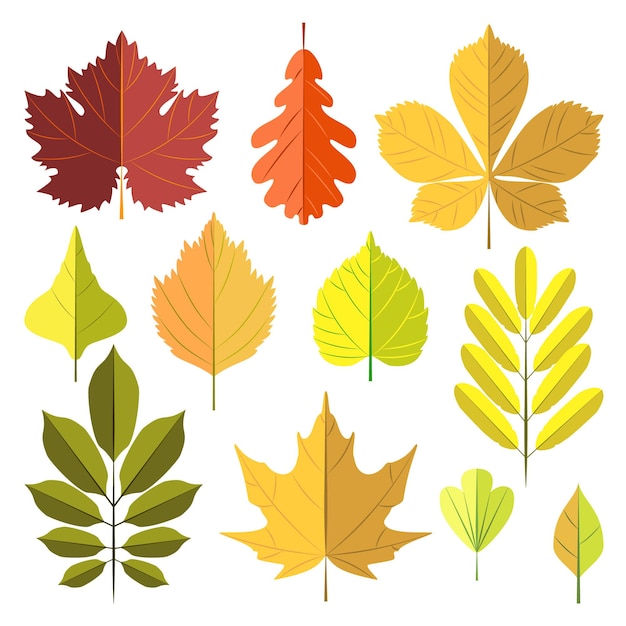 Conjunto de hojas de otoño