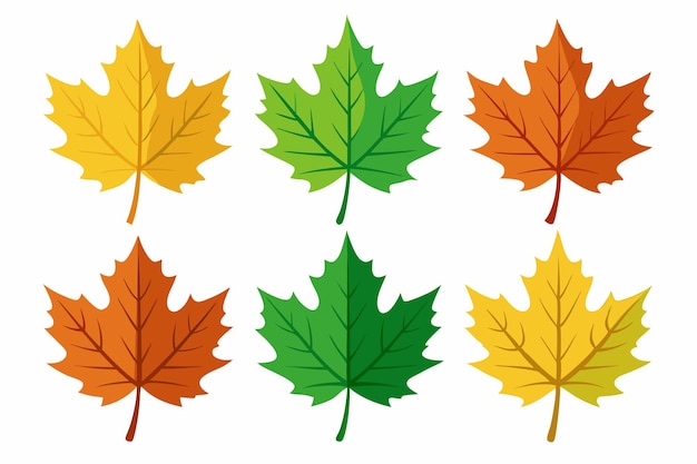 un conjunto de hojas con las palabras otoño en ellos