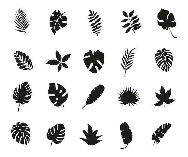 Conjunto de hojas de palma silueta de plantas tropicales aisladas en fondo blanco