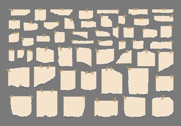 Conjunto de hojas de papel rasgado rasgado con etiqueta
