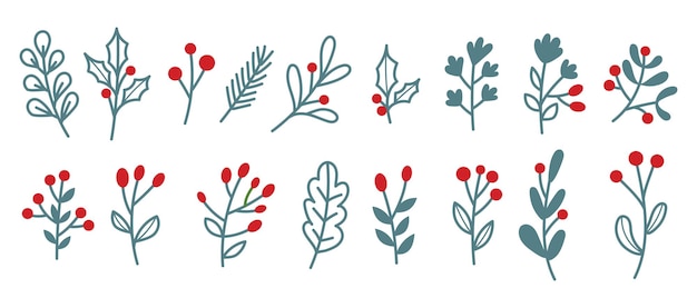 Conjunto de hojas de plantas navideñas dibujado a mano boceto de dibujos florales hojas de árboles navideños ilustración vectorial