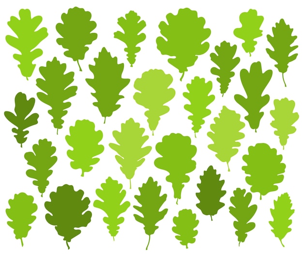 Conjunto de hojas de roble verde aislado en vector de fondo blanco