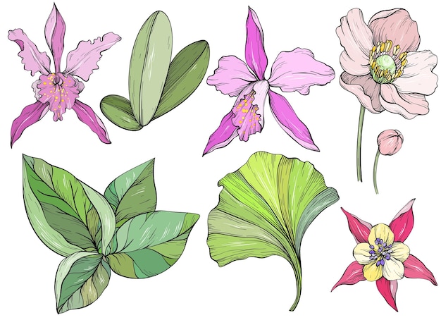 Vector conjunto de hojas de selva dibujadas a mano y flores exóticas flor de orquídea y hojas tropicales