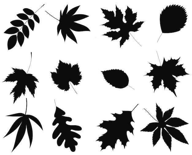 Conjunto de hojas silueta sobre fondo blanco vector aislado