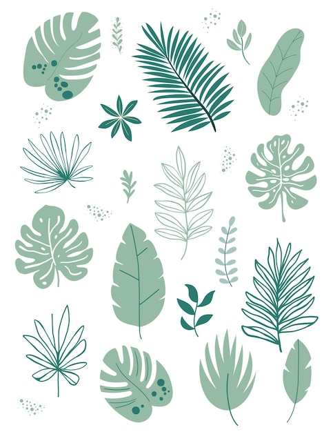 Conjunto de hojas tropicales en estilo plano moderno Perfecto para diseños botánicos carteles de invitaciones