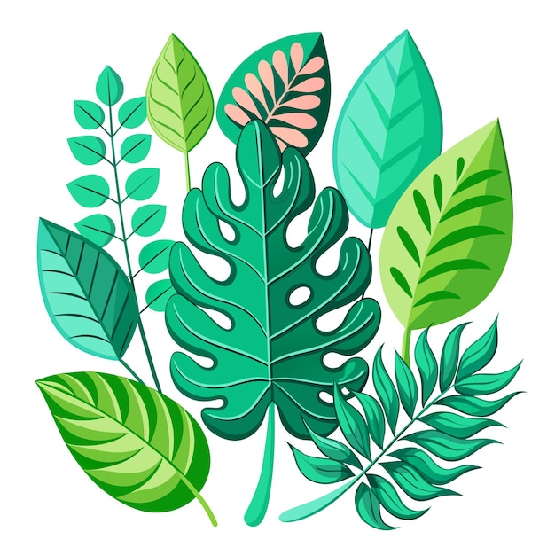 Conjunto de hojas tropicales exóticas ilustración vectorial aislada en fondo blanco