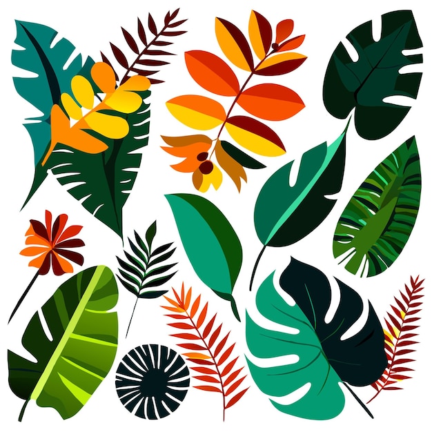 Conjunto de hojas tropicales exóticas ilustración vectorial aislada sobre fondo blanco