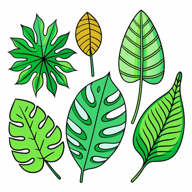 Conjunto de hojas tropicales exóticas ilustración vectorial aislada sobre fondo blanco