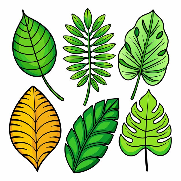 Conjunto de hojas tropicales exóticas ilustración vectorial aislada sobre fondo blanco