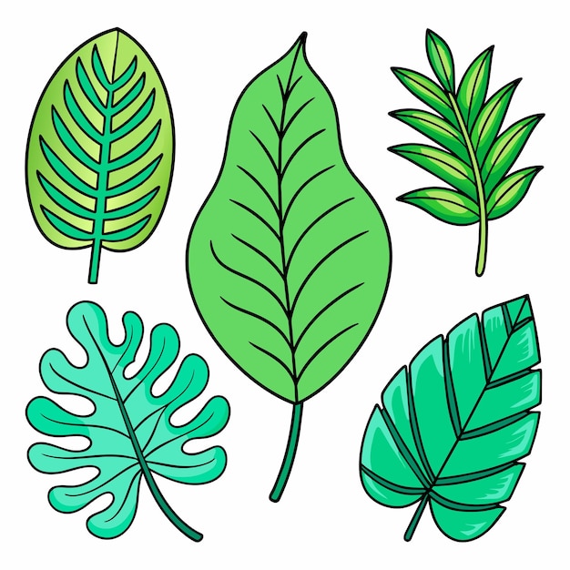 Conjunto de hojas tropicales exóticas ilustración vectorial aislada sobre fondo blanco