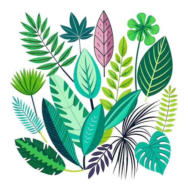 Conjunto de hojas tropicales exóticas ilustración vectorial aislada sobre fondo blanco