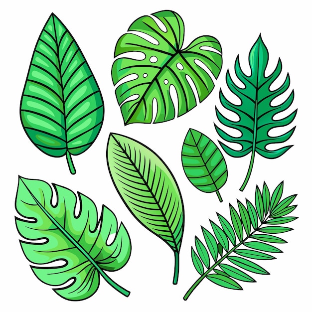 Conjunto de hojas tropicales exóticas ilustración vectorial aislada sobre fondo blanco
