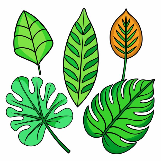 Conjunto de hojas tropicales exóticas ilustración vectorial aislada sobre fondo blanco
