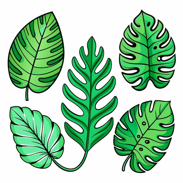 Conjunto de hojas tropicales exóticas ilustración vectorial aislada sobre fondo blanco