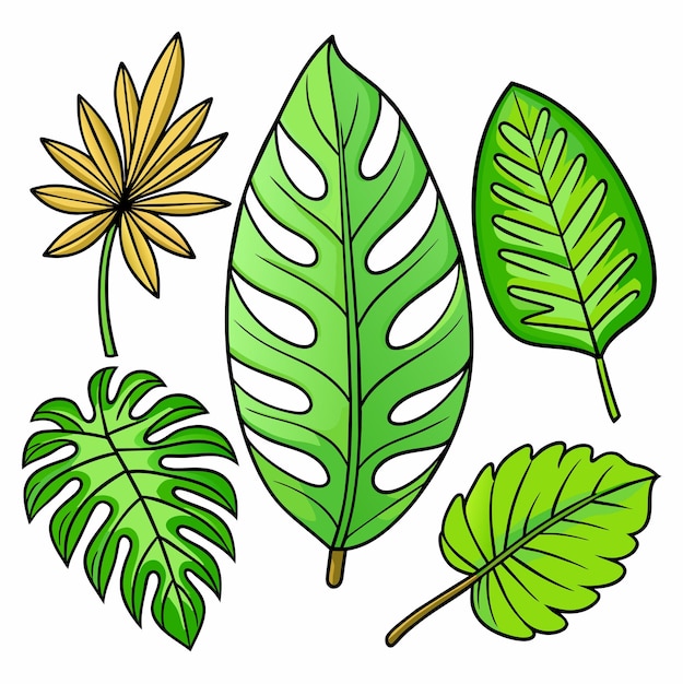 Conjunto de hojas tropicales exóticas ilustración vectorial aislada sobre fondo blanco